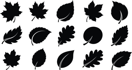 Fototapeta premium Collection of various black leaf silhouettes