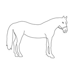 Fototapeta premium Horse Silhouette Line Art Black and White Vector.