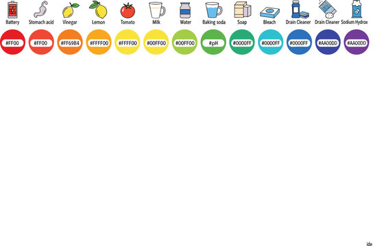 pH Scale Chart with Common Household Items Showing Acidic and Alkaline Levels for Chemistry Education, Science Infographics, Laboratory Learning, and Educational Vector Design