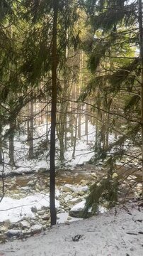 Mountain rocky river in winter forest