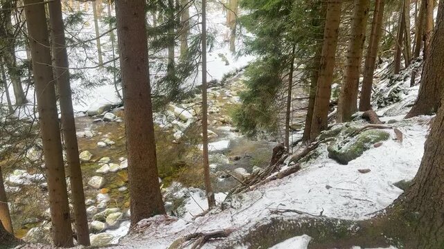Mountain rocky river in winter forest