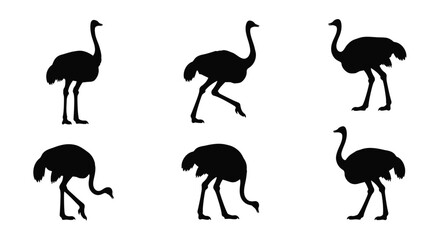 Silhouettes of ostriches in various poses and arrangements
