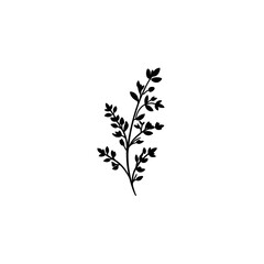 Simple black silhouette of a sprig with small leaves on a white background