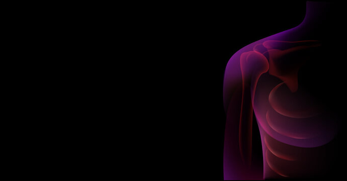 Body xray man human anatomy 3d medical health vector technology scan person digital background muscle abstract science illustration. X-ray style silhouettes with visible skeletons, detailed 