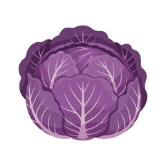 Obraz premium Stylized illustration of a whole purple cabbage head with leaves.