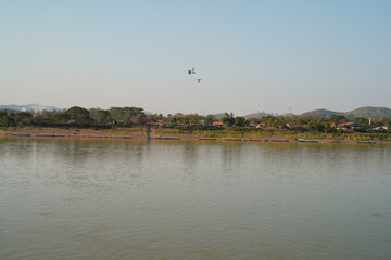 Calm river landscape countryside nature reflection bird sky water tree mountain view village