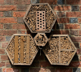 Bug Hotel