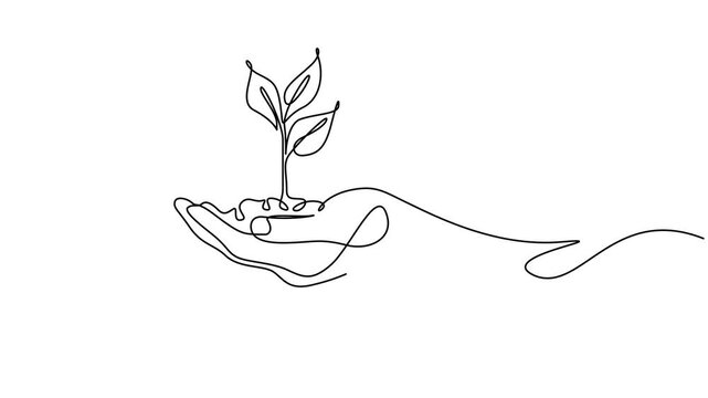 Hands holding leaves branch continuous line drawing animated video. Animated self drawing of continuous line draw hands of the farmer are planting the seedlings into the soil