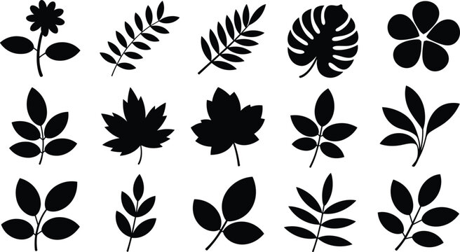 Botanical silhouette collection, black leaf and flower shapes, minimalist plant icons, decorative nature artwork, stylized illustration design