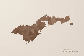 American Samoa Map - Polygon Style Vector Illustration in Brown Gradient, Low Poly Geometric Design, Isolated on Beige Background for Infographics and Decoration. © Whatever