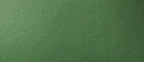 Fototapeta premium Dark green textured paper surface with soft brushed texture for neutral background design