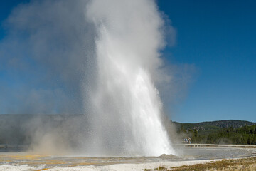 Fototapeta premium Daisy Geyser erupting in the Upper Geyser Basin of Yellowstone National Park, Wyoming, USA