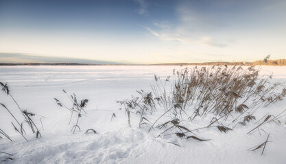 frozen lake in winter