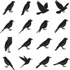 Fototapeta premium Black silhouettes of various birds on white background also transparent background sparrows