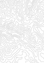 Fototapeta premium Curvas de nivel sobre fondo blanco. Mapa Topográfico 