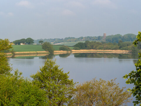 Overlooking Pickmere Lake with Budworth Church in the background, Pickmere, Knutsford, Cheshire, UK