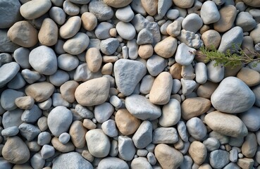 Smooth, rounded pebbles, stones fill frame, creating textured natural ground surface. Few green sprigs rest on top, adding touch of life. Composition offers close-up view of varied grey, tan rocks.