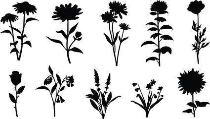 Black and white silhouettes of various flowers and plants on a white background © Frd Art