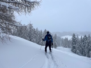 Ski tourer trekking through a winter wonderland in the Austrian Alps, surrounded by deep, untouched powder snow.