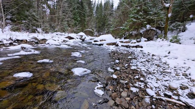 Pristine Winter Mountain River in the Carpathian Forest