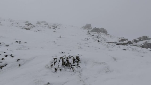 Misty Winter Mountain Slope