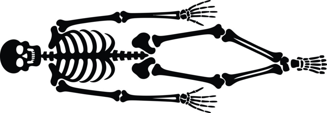 A black silhouette of a human skeleton lying in a supine position