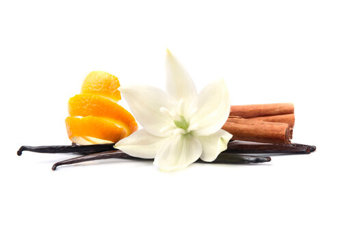 Aromatic vanilla sticks and flower with cinnamon