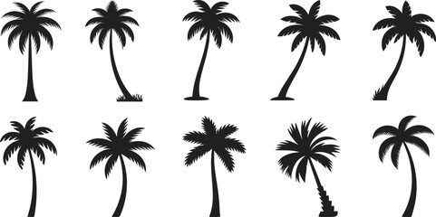Ten black palm trees with different shapes and orientations on a white background silhouette tropical © Icons World