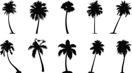 Ten black silhouette palm trees with varying trunk shapes and leaf arrangements on a white background © Icons World
