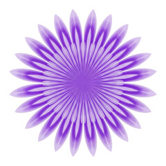 Obraz premium Purple floral design isolated on transparent background