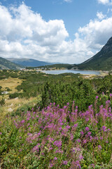 Naklejka premium Landscape of Rila mountain near Granchar Lake, Bulgaria