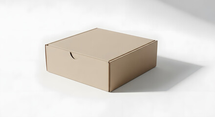 Closed beige cardboard box on white background &mdash; minimalist packaging mockup for product design