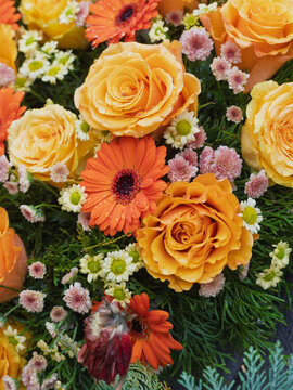 Farbe im kalten Februar Blumen am Grab die Gedanken sind bei Dir