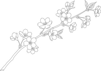 Vintage floral illustration featuring a blossoming cherry tree branch with spring flowers and leaf ornaments in a decorative nature pattern design © Apurba