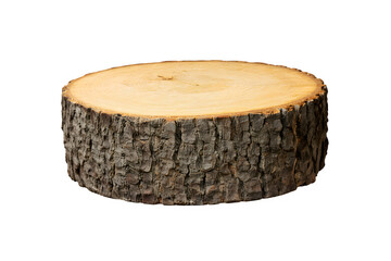 Tree trunk slice cross section with natural rings isolated on transparent background