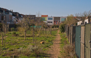 Fototapeta premium Boerenhof, community garden in Rabot neeighborhood in spring, Ghent, Flanders, Belgium 