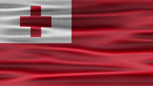 Tonga national flag waving in the wind with high quality fabric texture