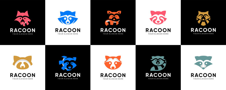 A collection of colorful raccoon logos, animal characters, friendly and cute, vector design illustrations.