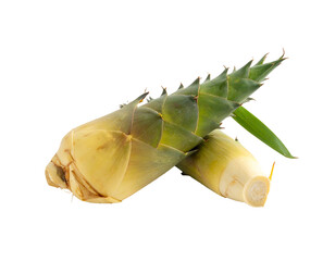 Fresh Bamboo Shoots: A Culinary Delight and Natural Ingredient.