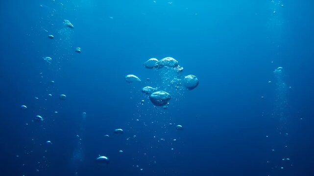 Bubbles rising gracefully to the surface in the deep blue sea environment