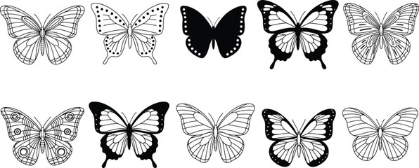 Butterfly vector illustration set, silhouette and pattern wings, decorative insect clipart, garden nature design, wildlife art, black and white © Empowerment angle 
