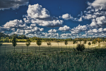 Leni słoneczny dzień za miastem © Studio Migafka