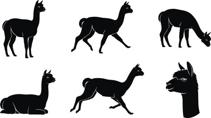 Black alpaca silhouette set, isolated llama animal vector collection, grazing farm livestock, running mammal, cute wildlife nature graphic design elements © VactorZone