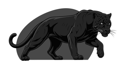 Fototapeta premium A black panther is walking forward with its tail extended in a dynamic pose on a dark gray semi-circular background illustration