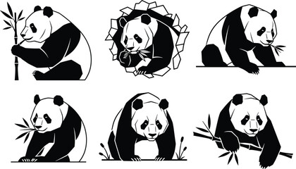 Black white giant panda vector illustration set, cute asian bear silhouette collection, eating bamboo leaves, wildlife nature graphic design elements © VactorZone