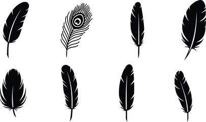 A collection of various black feather silhouettes including a distinctive peacock feather design © MohammadSakhawat