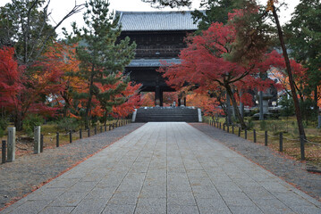 秋の南禅寺　三門(京都市左京区)