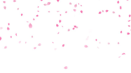 Spring Sakura Cherry Petals top fall Floral on transparent background,png nature blossom and buds season and spring sale isolated design element