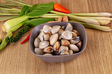 Raw fresh wild clams mollusc © Andrei Starostin
