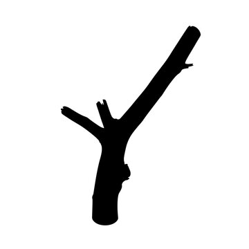 Bird Cage Perch Natural Branch Silhouette for Parrot Habitat Concepts